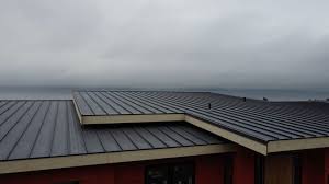 Best Roof Maintenance and Cleaning  in Bazon, CA